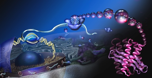 BIOLOGI MOLEKULER