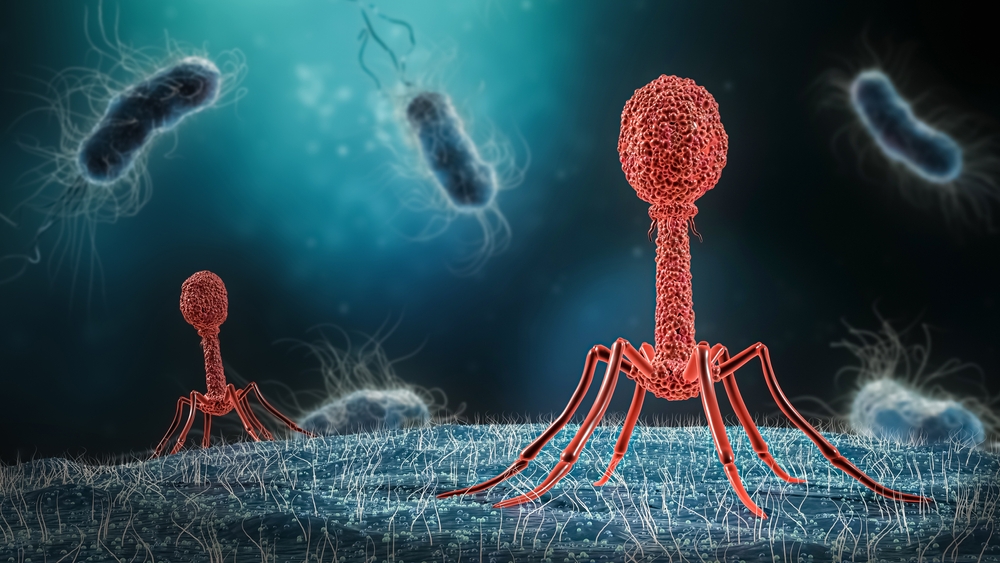 VIROLOGI