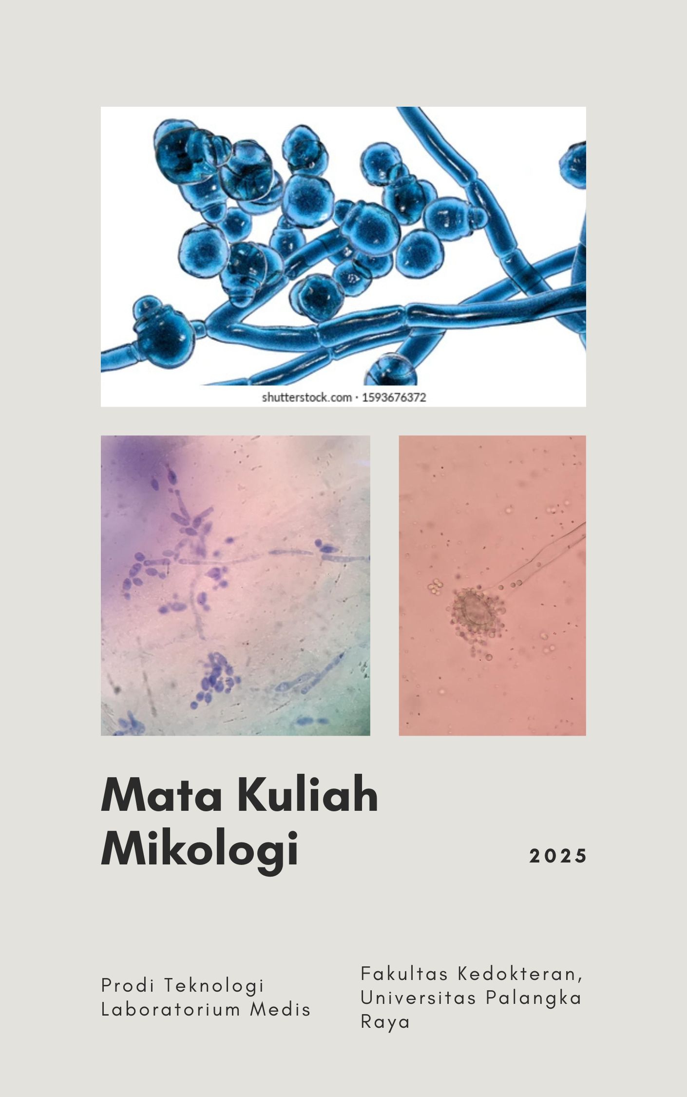 MK. Mikologi 