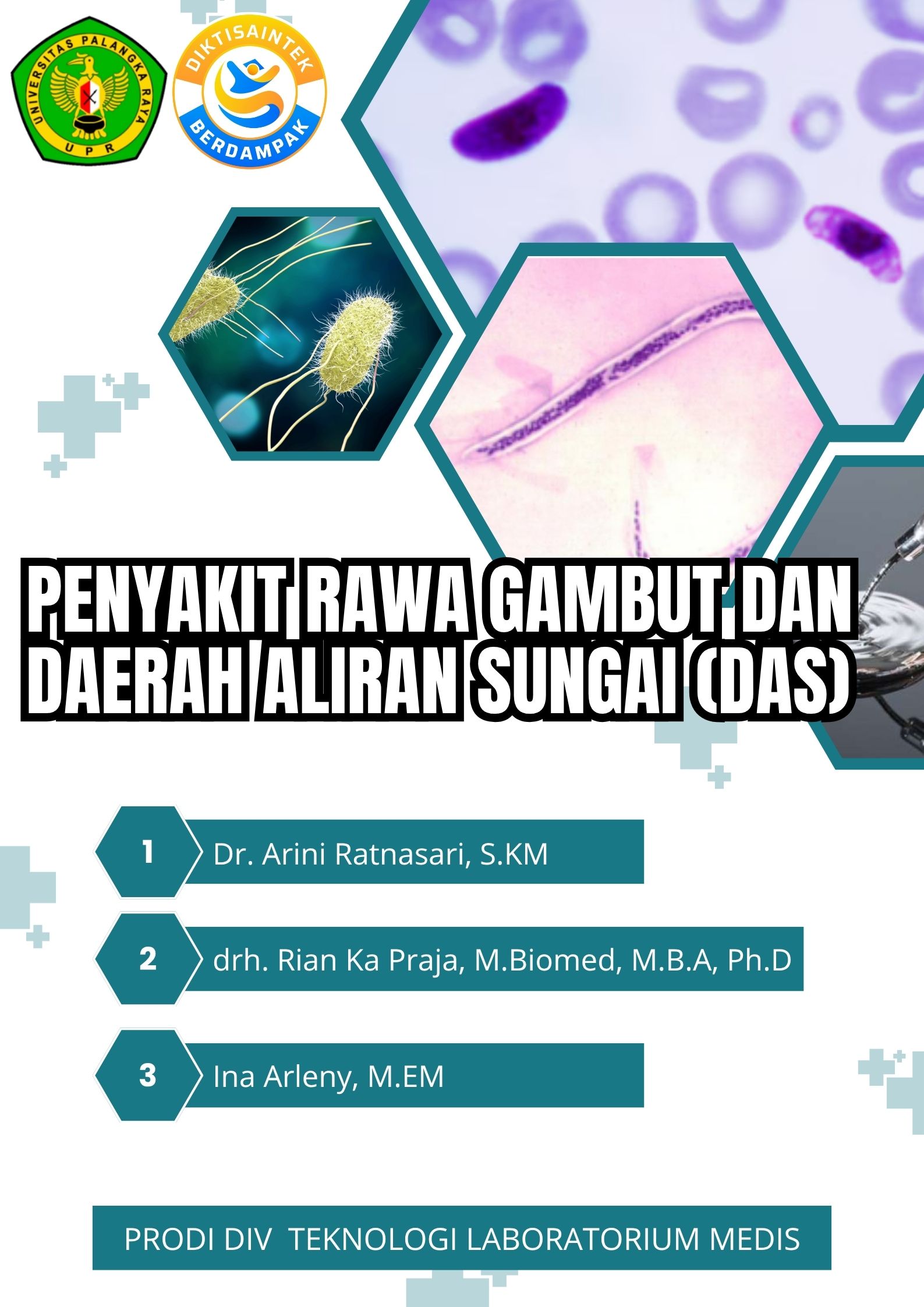 PENGENDALIAN RAWA GAMBUT DAN DAERAH ALIRAN SUNGAI (DAS)